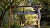 Inside The Redwood Forest At California’s Muir Woods