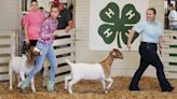 Stars of the Stockyard - The Roanoke-Chowan News-Herald