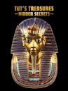 Tut's Treasures: Hidden Secrets