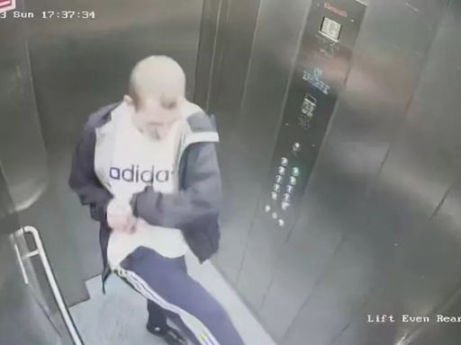 Man banned from having dogs after CCTV caught what he did in lift