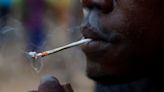 Highly potent opioids are showing up in drug users in Africa for the first time, report says