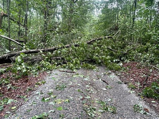 National Weather Service surveys damage from EF-1 tornado that hit Halifax County