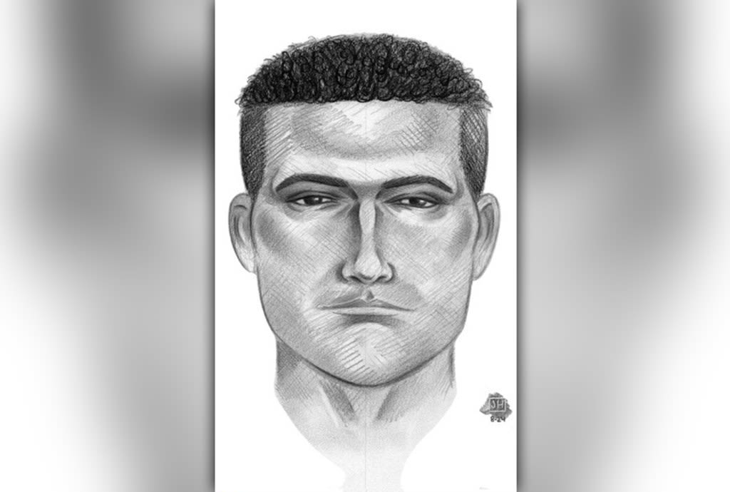 Cops nab ‘person of interest’ in Queens park sex attack against 13-year-old girl