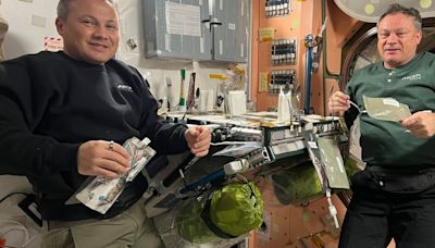 5 Types Of Food Astronauts Avoid Eating In Space — And Why