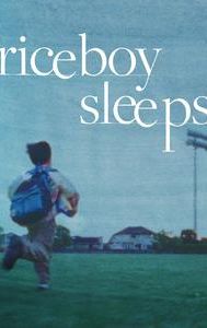 Riceboy Sleeps (film)