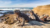 Las Islas Galápagos duplicarán las tarifas de entrada a los turistas en medio de preocupaciones sobre el aumento del número de visitantes