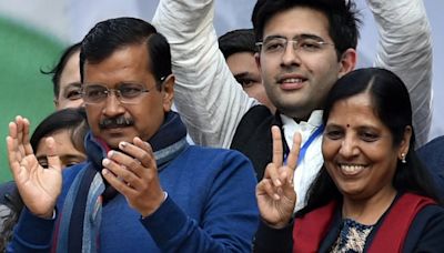 Arvind Kejriwal's Bail Was Challenged Even Before Court Uploaded It, Says Wife