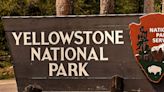 Hydrothermal explosion causes damage in area of Yellowstone National Park
