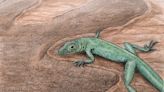 Tiny 166m-year-old lizard fossil found in Scotland shows ‘evolution in action’
