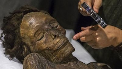 La vuelta de la momia de Erques a Tenerife, más cerca que nunca: "Tenemos un hilo de esperanza"