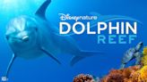 Dolphin Reef: Where to Watch & Stream Online