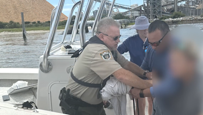 Man in critical condition after being bitten by shark while fishing in Florida