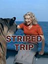 Striped Trip