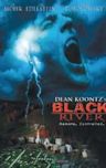Black River (2001 film)