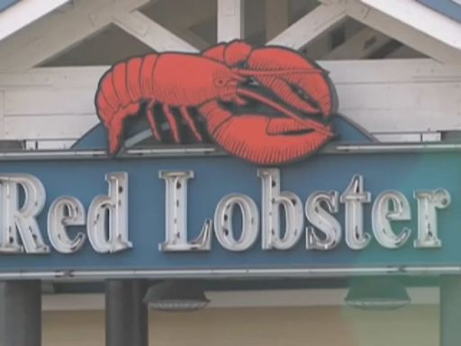 Michigan Red Lobster auction • no signs of Kent Lake alligator • Livingston County approves red flag gun law