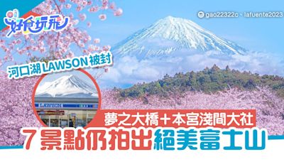 河口湖LAWSON被黑布封！7景點仍可拍出絕美富士山 夢之大橋必去