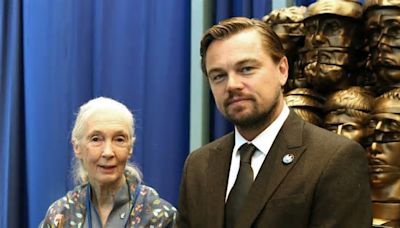 Leonardo DiCaprio & Jane Goodall To Exec Produce ‘Howl' From Promethean Pictures: Live-Action Film About A Dog And Wolf's Survival Journey Will Be Told From The Animals ...