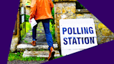 Selfies, dogs and drinking: What can't you do in a polling station?