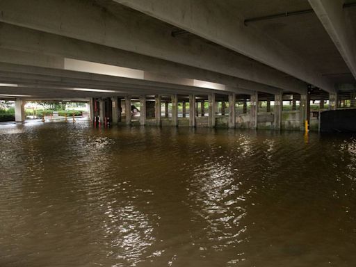 Scenes from Hurricane Francine: Floods, damage & downed trees from Louisiana to South MS