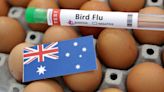 Bird flu hits McDonald's breakfasts in Australia