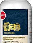 S(1665元)costco好市多代購葡萄王 樟芝王菌絲體膠囊 240粒