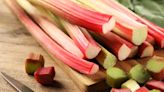 The Proper Way To Store Rhubarb In The Fridge