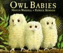 Owl Babies