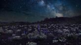 MOLTEN MAJESTY: Craters of the Moon celebrating 100 years as national monument