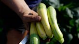 Colorado has one of the best farmers markets in the country