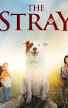 The Stray (film)