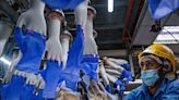美對華加徵新關稅 大馬橡膠手套製造商受益