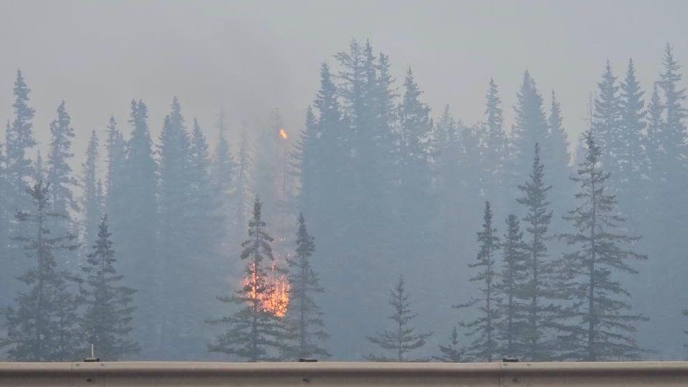 'Monster' wildfire may have destroyed up to 50% of Canadian town