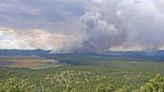 Bravo Fire in Coconino National Forest prompts possible evacuations west of Flagstaff