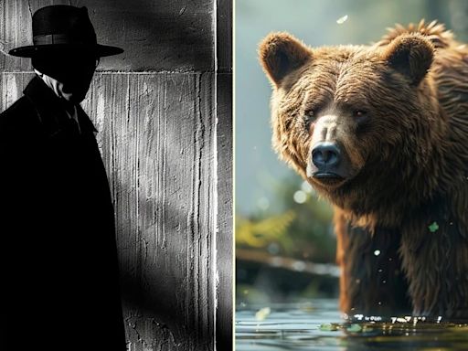 ¿Quién es más peligroso, un oso o un hombre desconocido? La pregunta viral que ha causado polémica