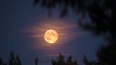 June's Full Strawberry Moon Will Appear Bigger Than Usual—Here's How to See the Rare Moon Illusion