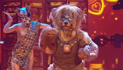 The Masked Singer 2024 - Der Robodog singt "Shape Of You" von Ed Sheeran im Bollywood-Stil