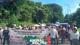 Marchan por la paz en Chicomuselo, Chiapas; denuncian extorsiones, saqueos y desapariciones