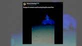 Fact Check: Video Shows a Vampire Squid Skimming Over the Ocean floor?