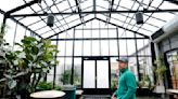 Jordan Hosking aims to give aspiring gardeners a canvas with greenhouse business