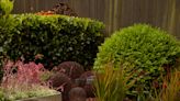 Take the Guesswork Out of Choosing Mulch Colors for Your Garden with These Tips