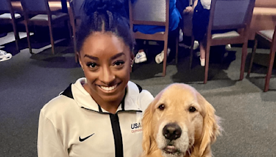 Owner of hospitalized US Olympic gymnastics therapy dog still searching for answers