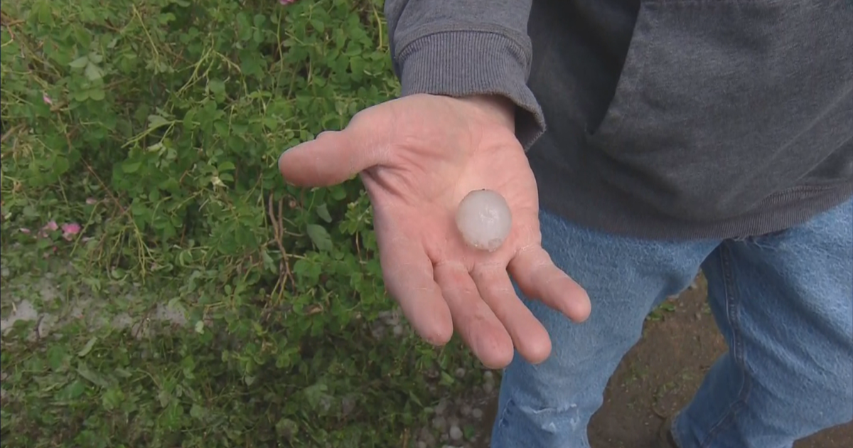 Colorado hail storms severely damage several towns, kill horses and cattle