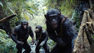 ‘Kingdom Of The Planet Of The Apes’ Invades Hulu In August