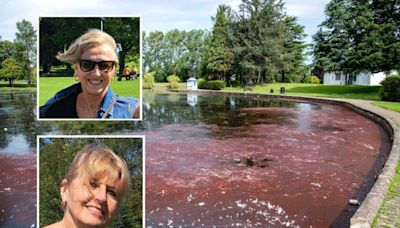 “Horrible” poisonous algae in park pond to be left to clear naturally despite “harmful” warning