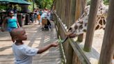 CityWatch: Here’s to 50 years at Riverbanks Zoo, and 50 more