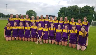 Wexford to face Derry in All-Ireland Under-16 camogie ‘A’ shield final after facile win over Offaly