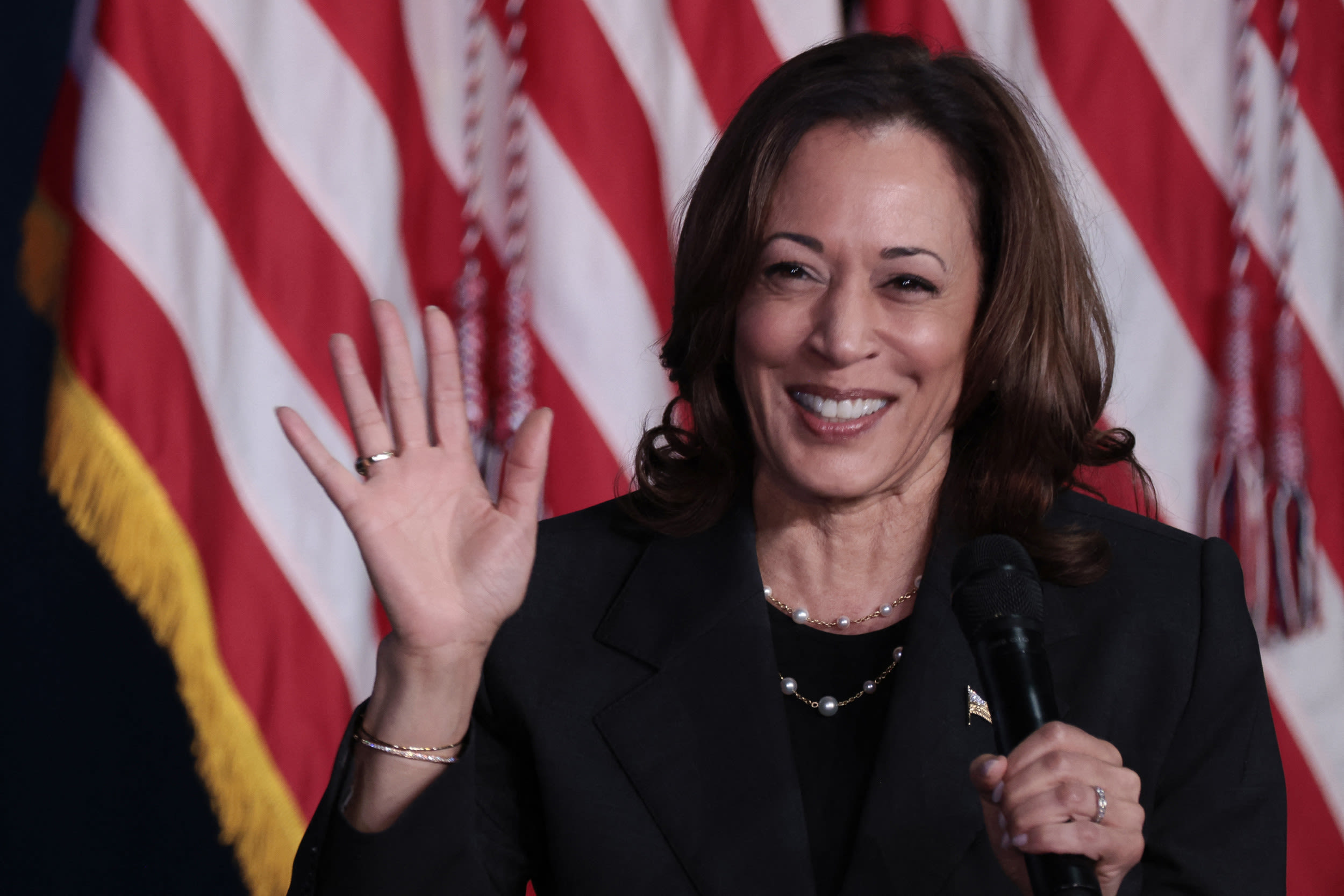 Kamala Harris' running mate selection narrows: Report