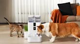 Lalahome Unveiled Another Pioneering Product: the Lalahome Realfountain Smart Eco-system Pet Fountain