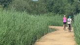 Afton Marsh is now a pleasure for cyclists and far cry from my childhood days!