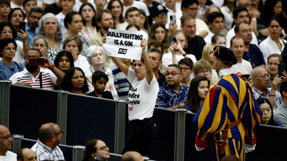 Animal rights activists storm pope’s general audience to protest bullfighting